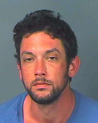 Woman, child killed in Spring Hill crash; wrong-way driver charged
