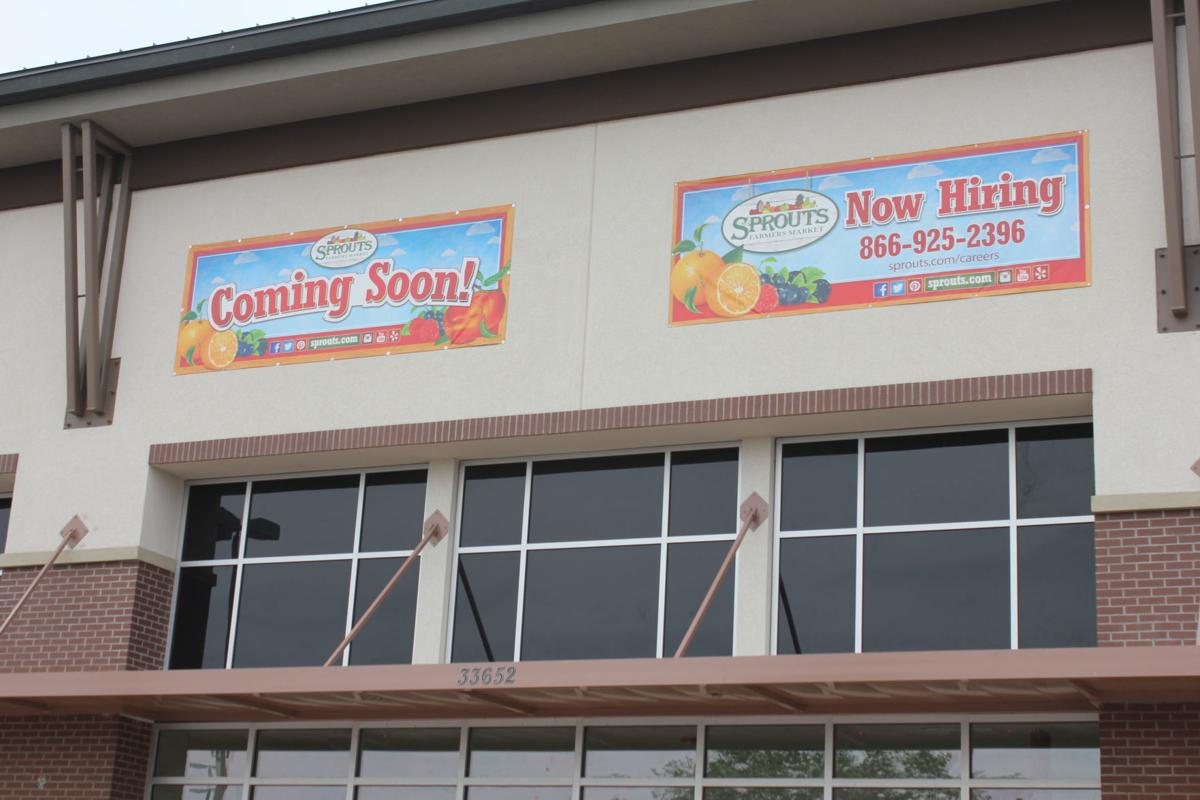 Sprouts Farmers Market coming to Palm Harbor Business