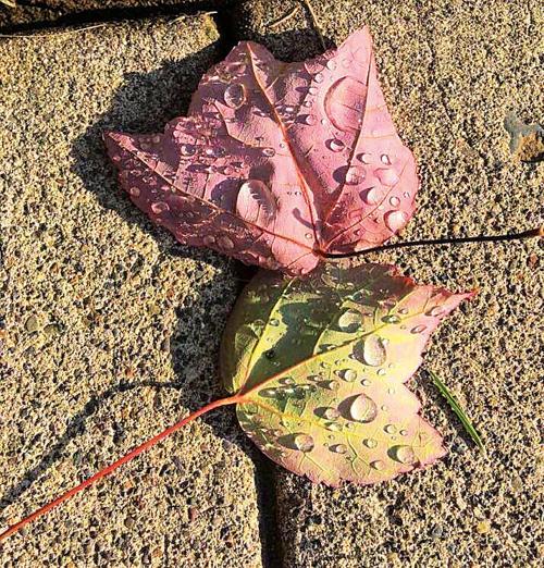 So Long Summer