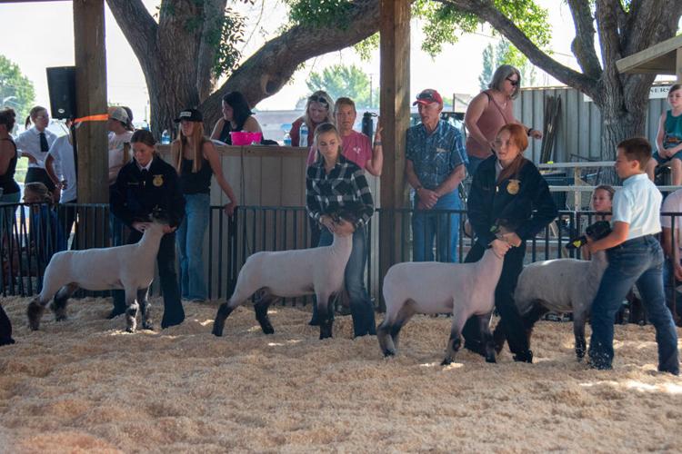 Yakima Valley Fair and Rodeo fun for all ages Community