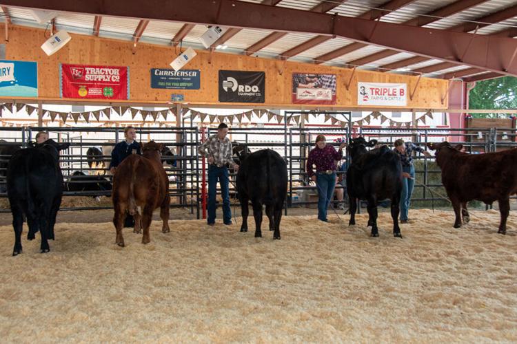 Yakima Valley Fair and Rodeo fun for all ages Community