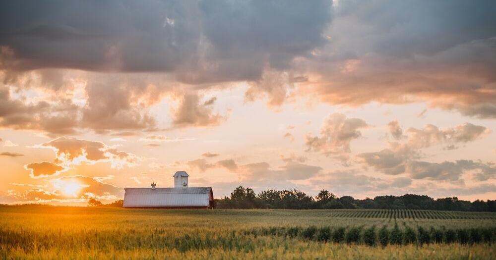 Washington Agriculture Exports to China Plunge $1.36B, 2nd Largest Drop Nationwide