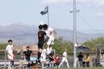 Grizzlies lose battle against Davis Sports