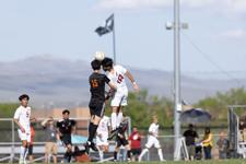 Grizzlies lose battle against Davis Sports