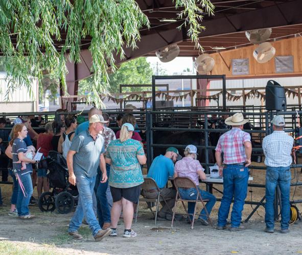 Yakima Valley Fair and Rodeo fun for all ages Community