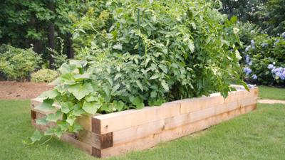 How and why to build a raised garden bed this season