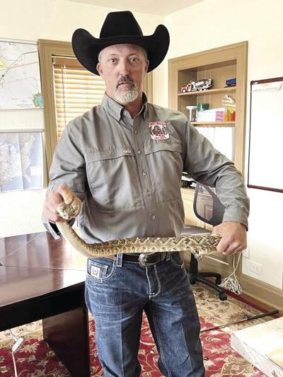 Sweetwater Getting Ready to Snake, Rattle and Roll for 65th Rattlesnake