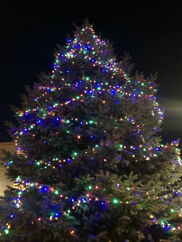Holiday Fest Tree