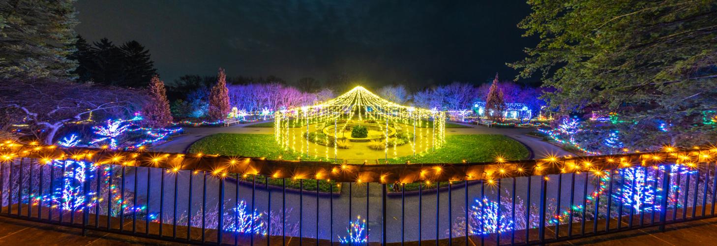 Winter Lights Opens At The Minnesota, Minnesota Landscape Arboretum Wedding Cost