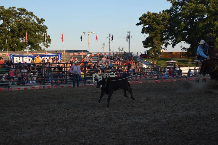 Hamel Rodeo draws a crowd with bucking horses and bulls Lake