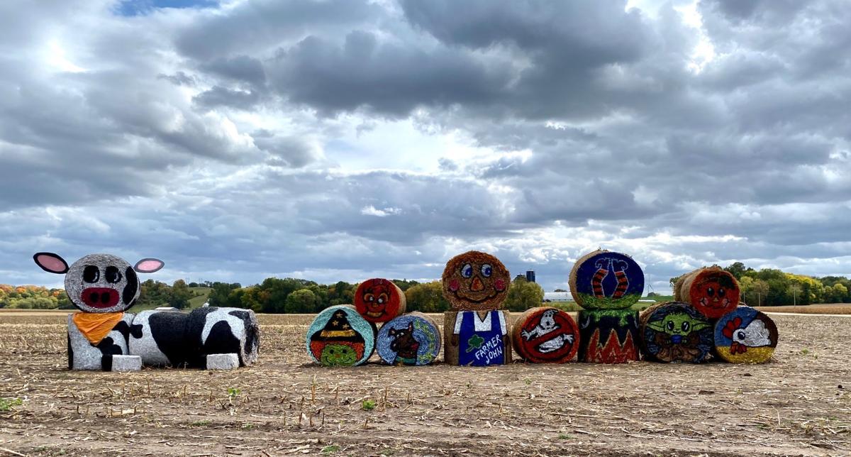Column Painted Hay Bales Bring Smiles To Shakopee Shakopee Opinion Swnewsmedia Com