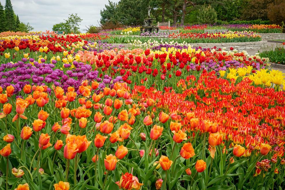 Minnesota Landscape Arboretum voted Best Botanical Garden once again in ...