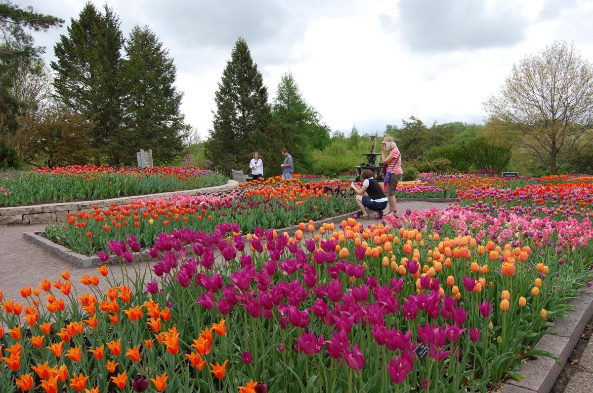 Visit American S Best Botanical Garden, Landscape Arboretum Chaska