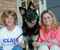 can a barbet and a shiloh shepherd be friends