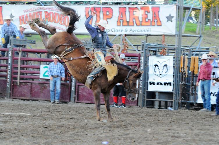 Cowboys and cowgirls return for the 39th Hamel Rodeo Lake