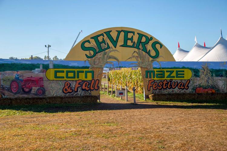 Sever's Fall Festival celebrates last year at Canterbury before