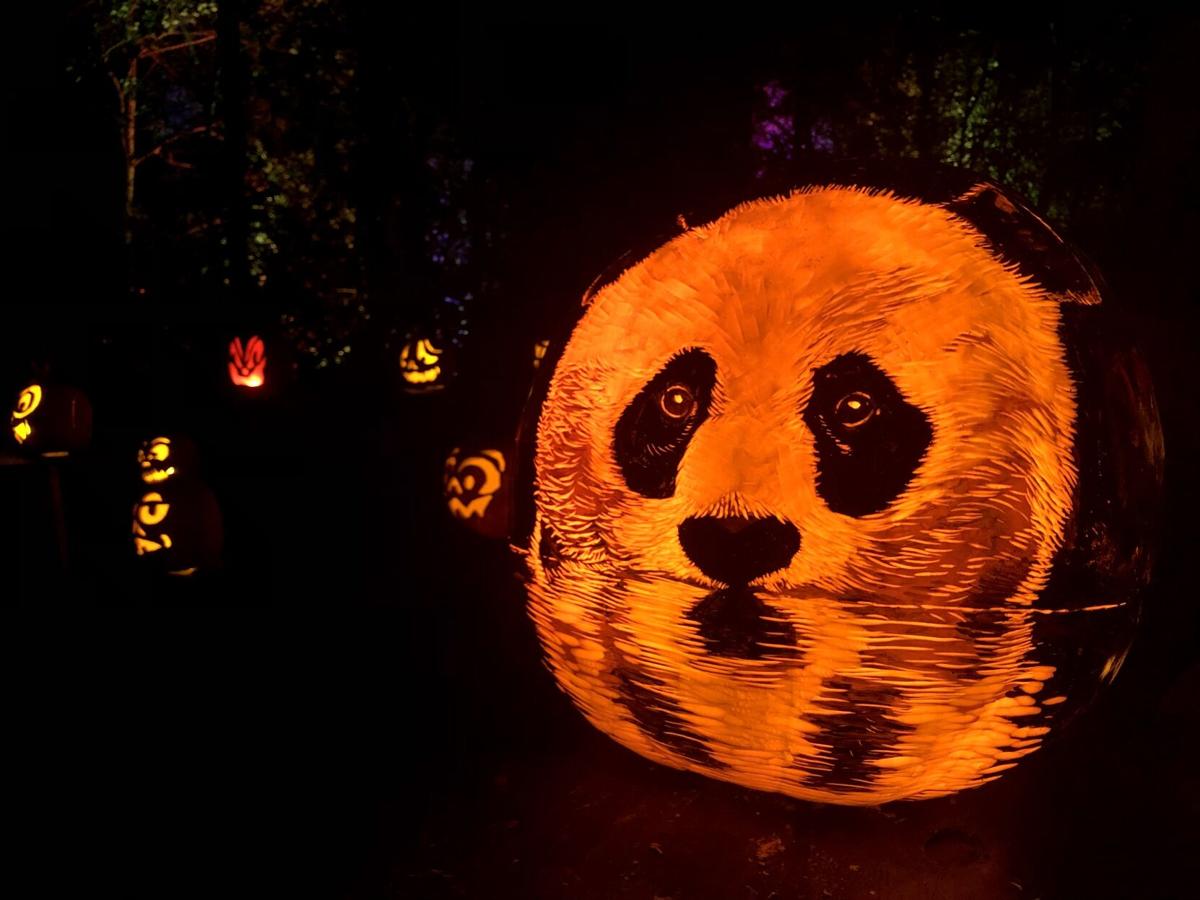 panda pumpkin stencil