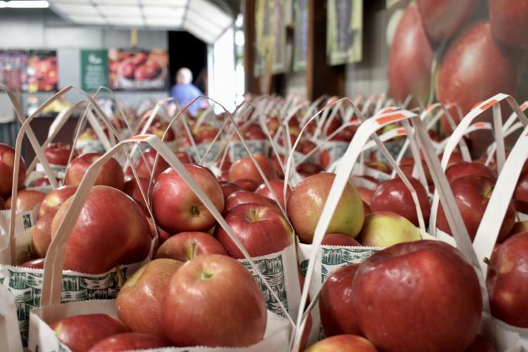 Fresh Apples Macintosh Bag, Apples Bagged