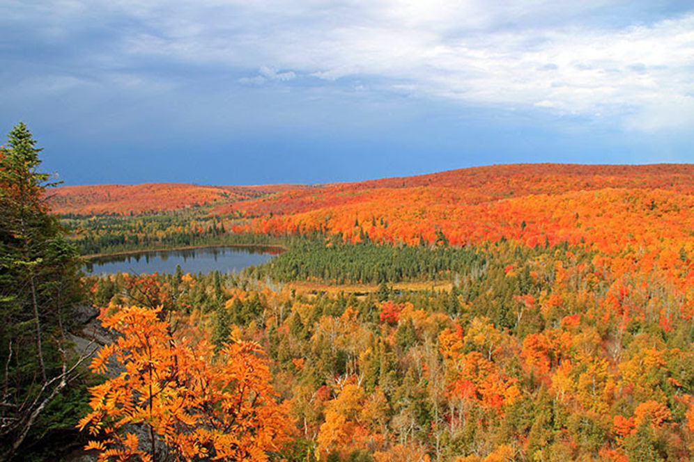 Visit Minnesota state forests for fall color driving tours Sports