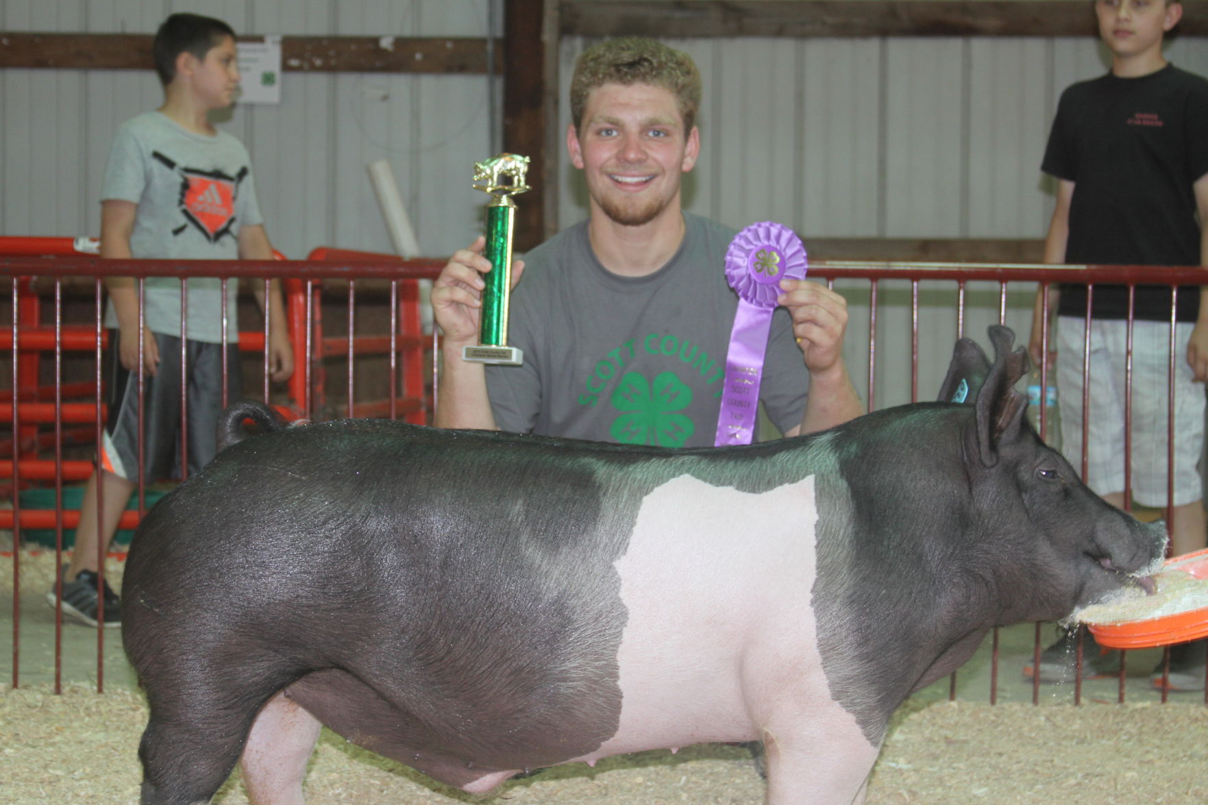 belle plaine livestock auction