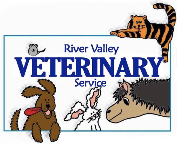 River Valley Veterinary Service - Prior Lake, MN | 