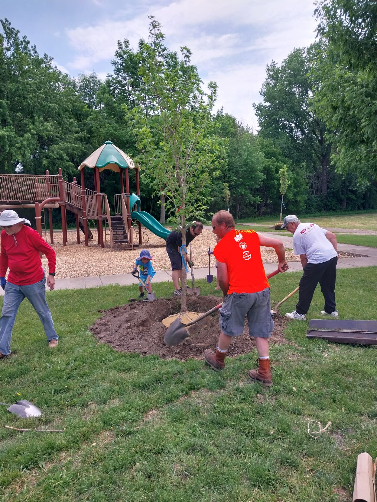 Lions, Rotary plant trees in Chaska parks | News Briefs | swnewsmedia.com