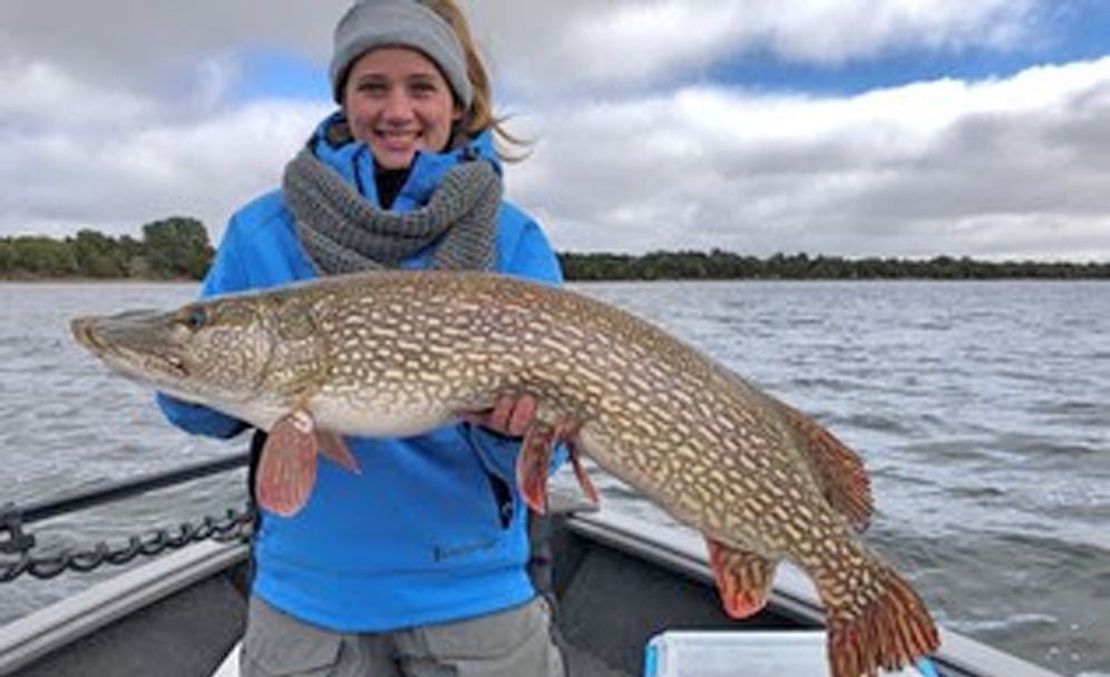 lake homes mille lacs mn