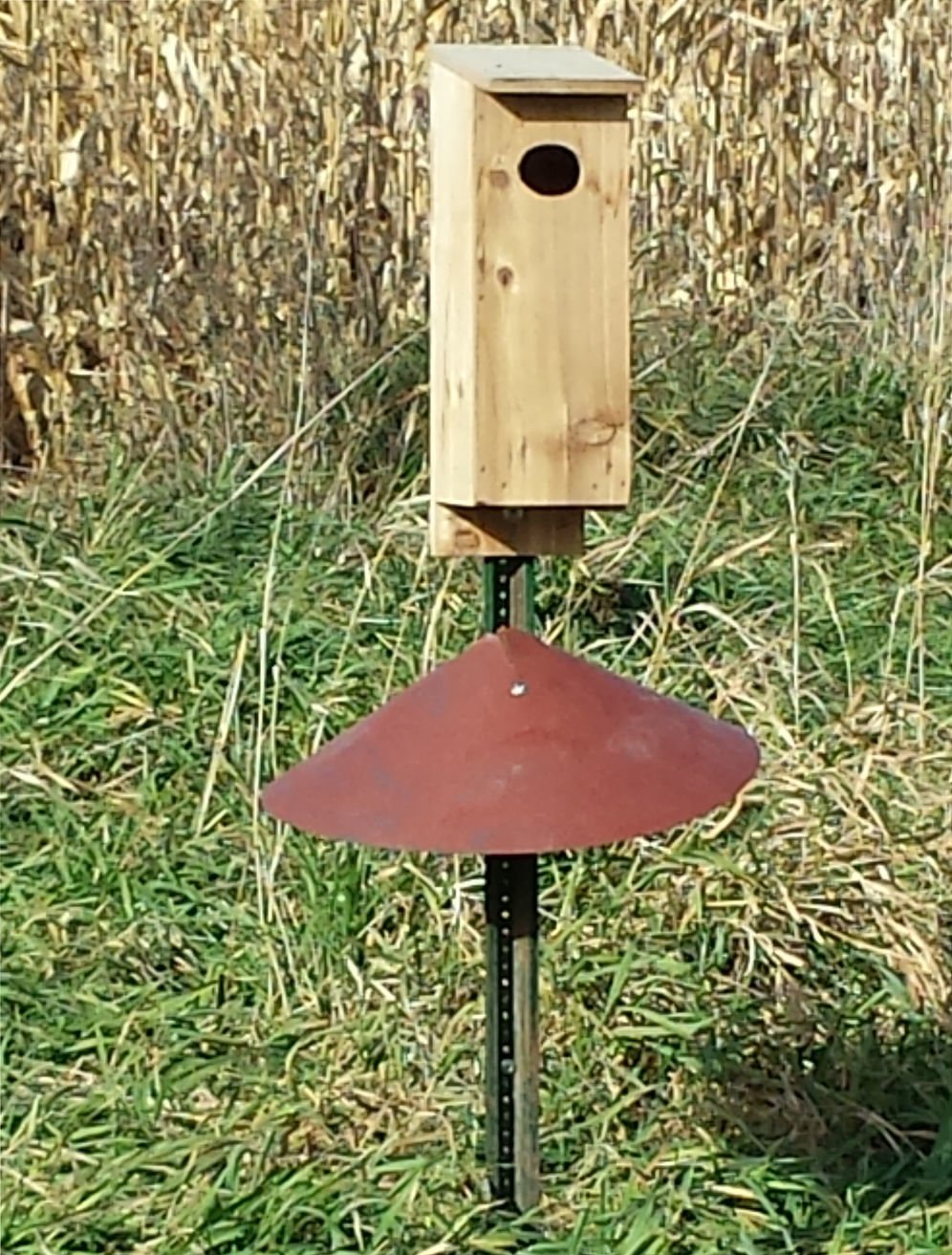 Wood Duck Boxes Early Wins The Race Prior Lake Sports Swnewsmedia Com