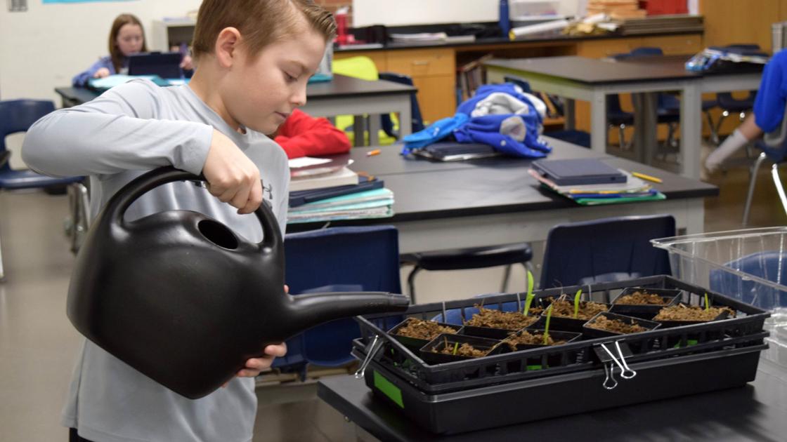Wayzata middle school students conduct orchid research with Minnesota Landscape Arboretum - SW News Media