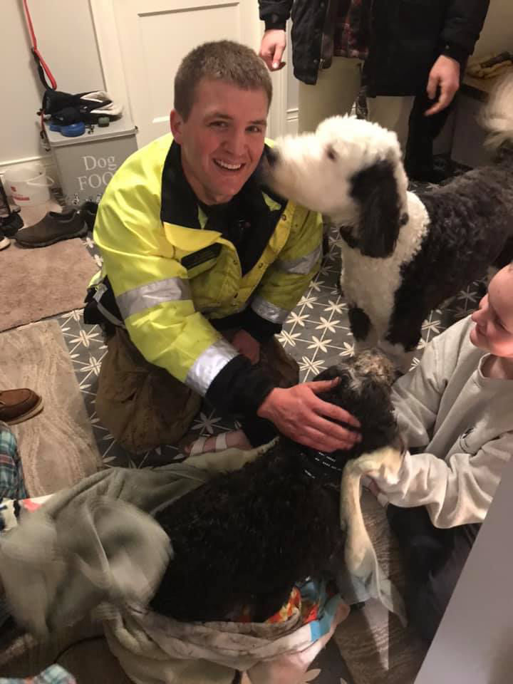 'Christmas miracle' Plymouth firefighters help rescue dog