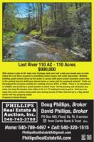 PHILLIPS REAL ESTATE