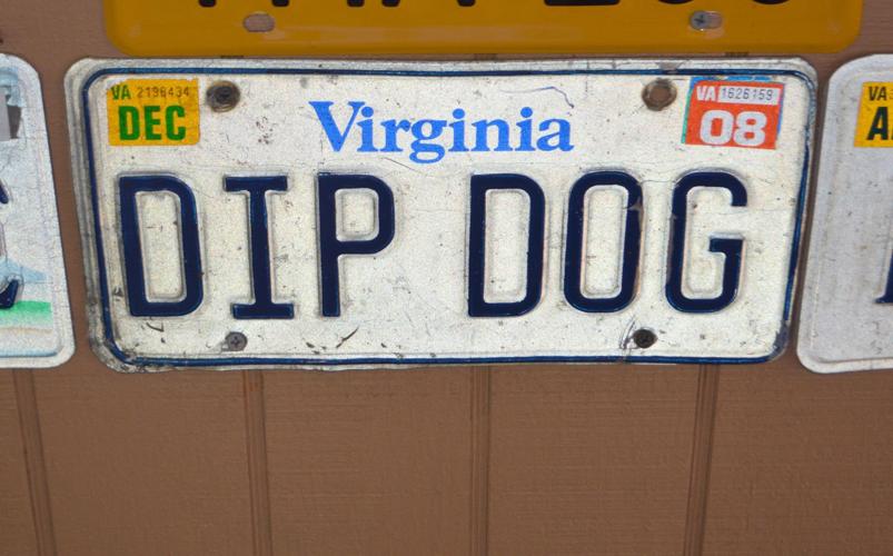 Dip into Marion with Dip Dogs