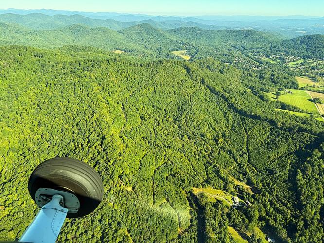A wooded slope just west of Asheville Regional Airport, off McElrath Road, still bears the scars of logging decades ago.