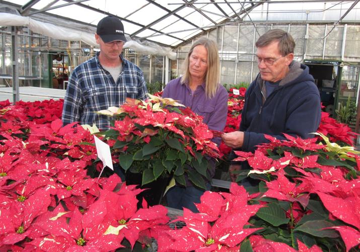 Indoor Farms Greenhouses