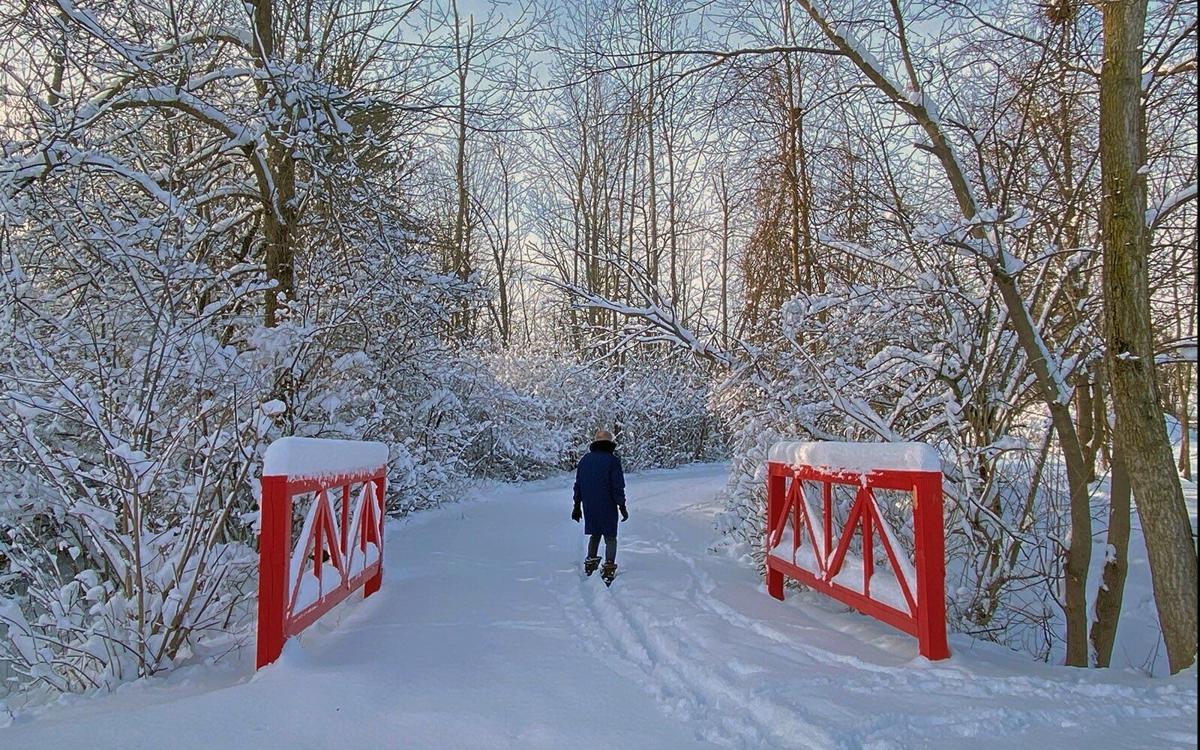 Fresh Christmas snow