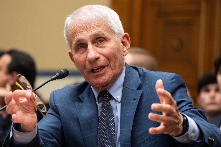 Anthony Fauci, former director of the National Institute of Allergy and Infectious Diseases, testifies to the House Subcommittee