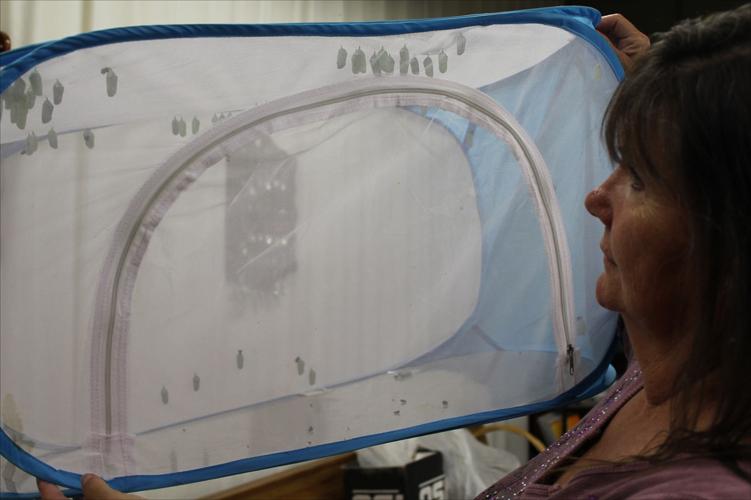 SMY 0810 BR Ellen checking development.jpg