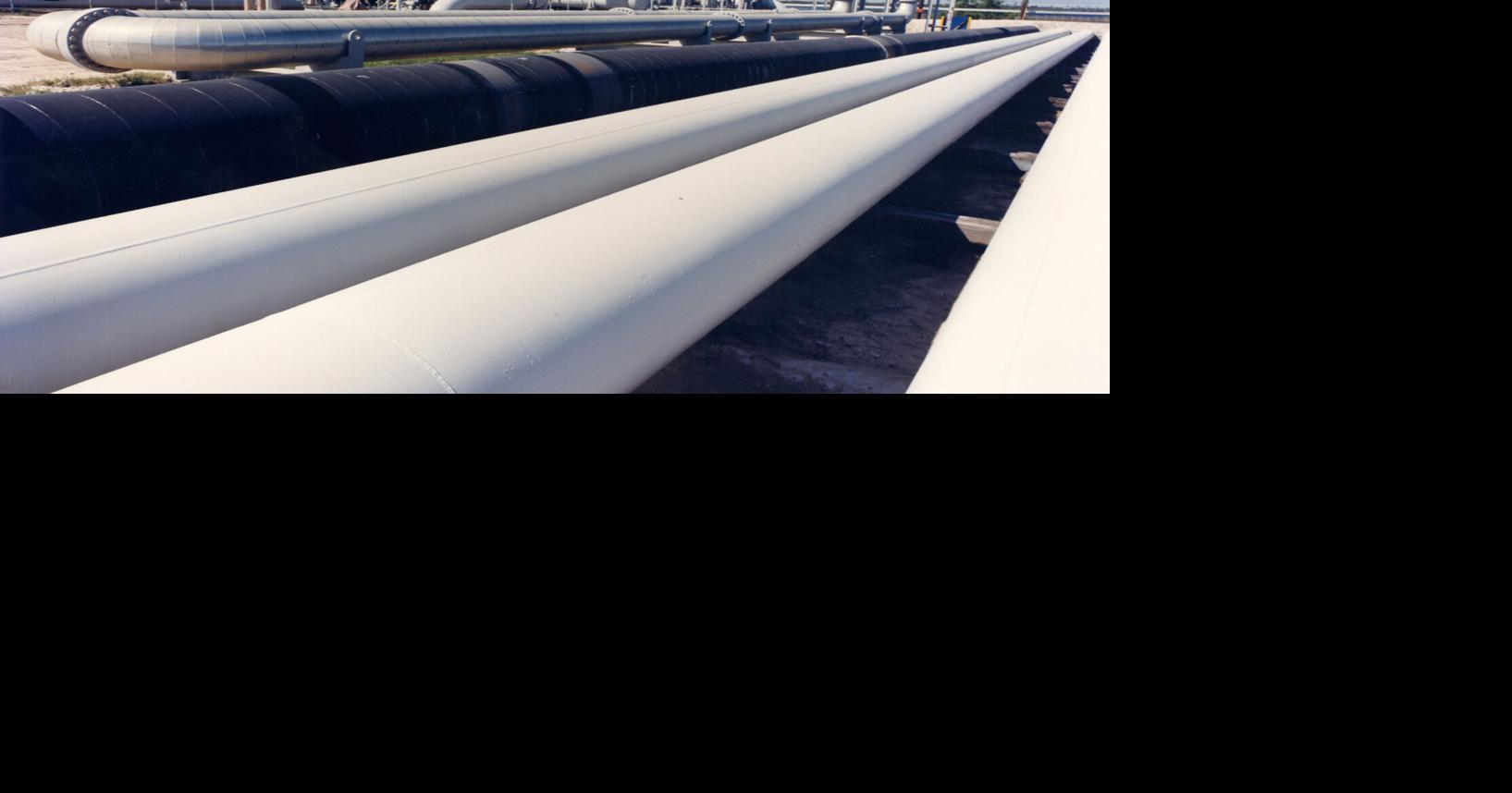 What is the Strategic Petroleum Reserve?