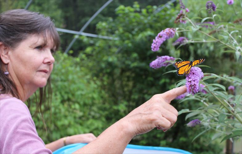 SMY 0810 BR Ellen placing Monarch.jpg