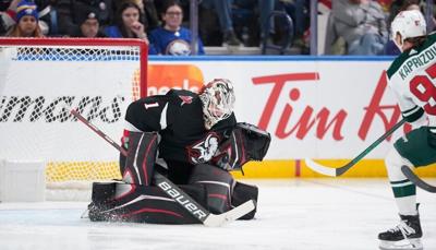 Sabres Wild Hockey