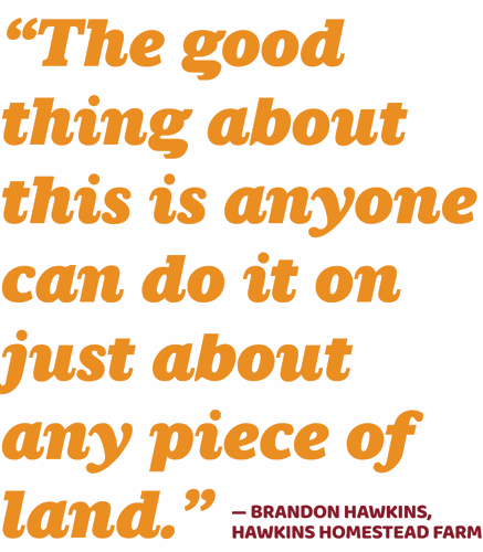 Hawkins quote
