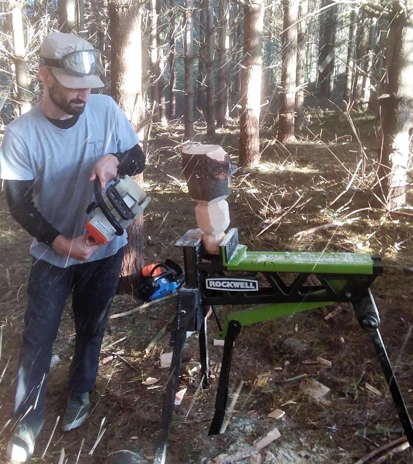 Local chainsaw artist carves native wildlife out of fallen trees