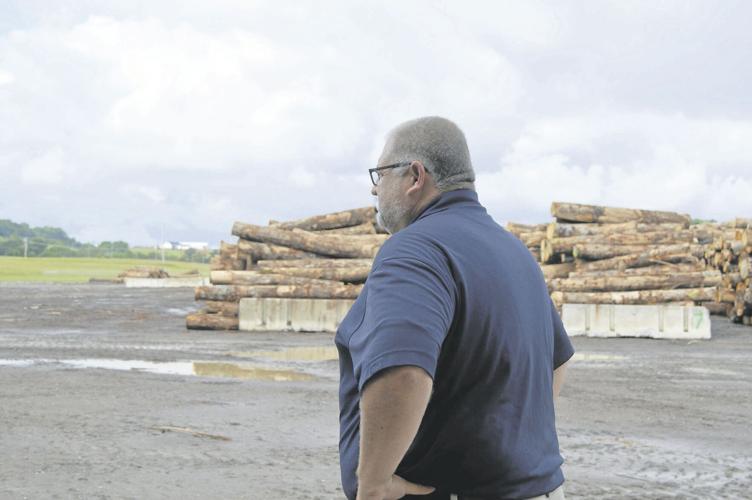 SMY 0612 Speyside Gibson logs.JPG