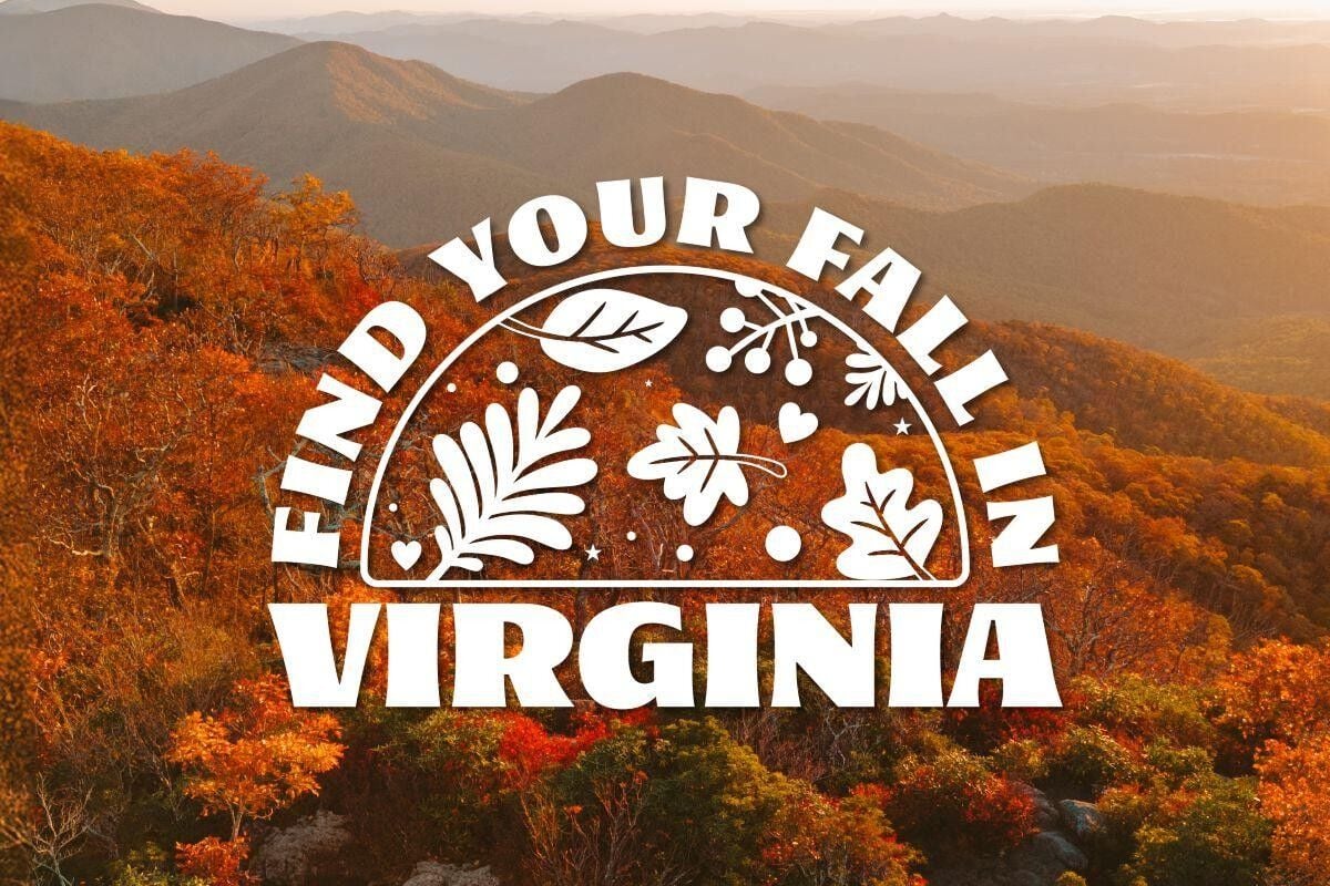 Find Your Fall in Virginia