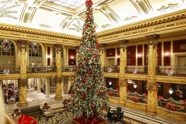 The tree at the Jefferson Hotel