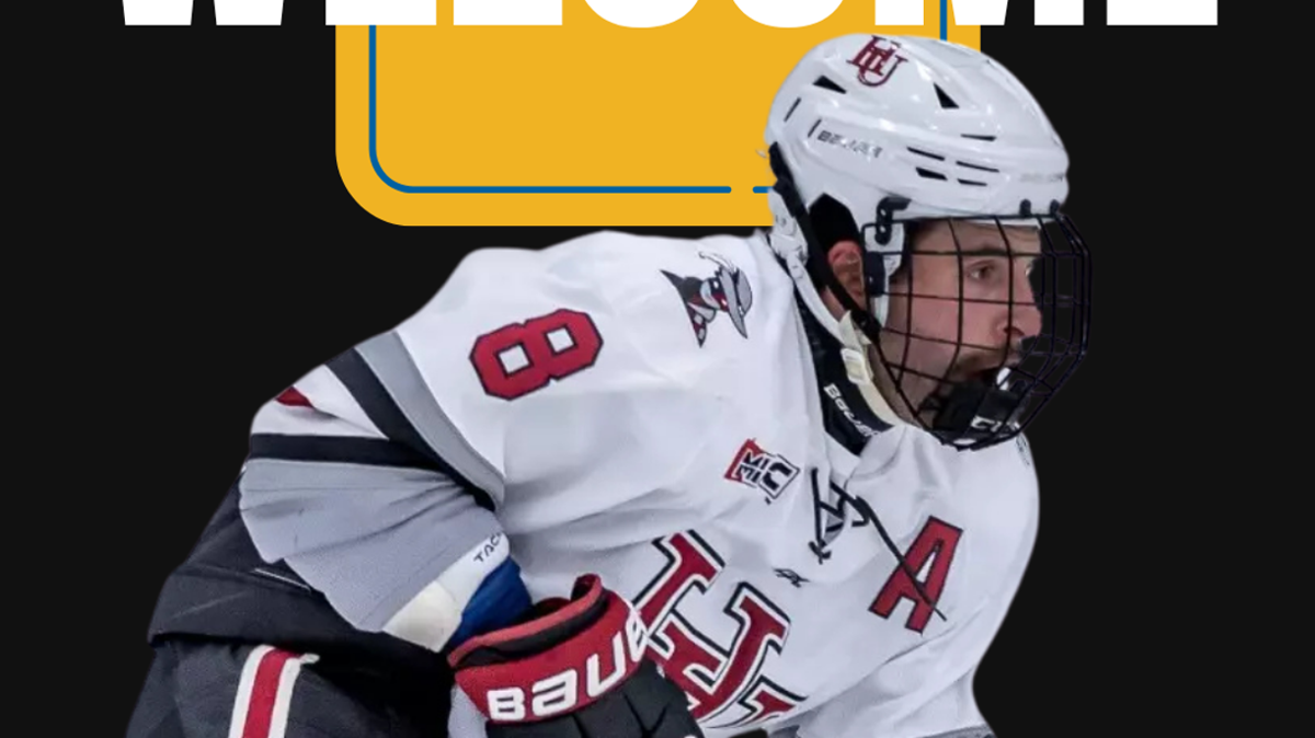 Bobcats Add High-Scoring Forward Nikolai Dulak