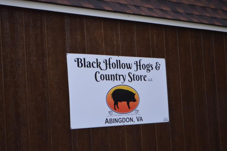 Black Hollow Hogs