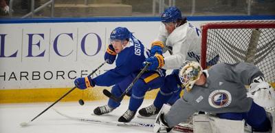 Sabres Development Camp