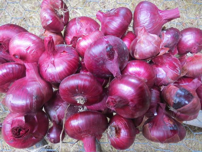 Meadowview farmtotable restaurant fixes custom meal kits