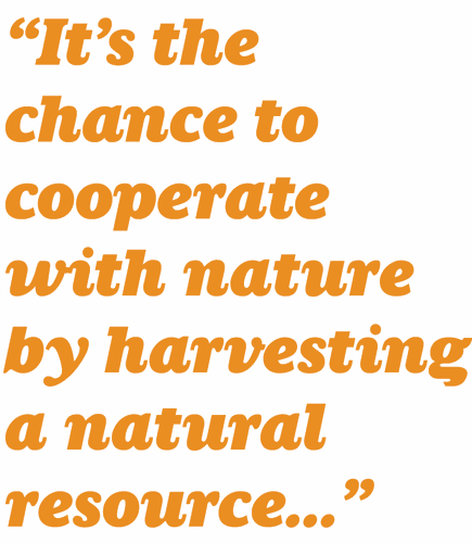 Old State Farms quote